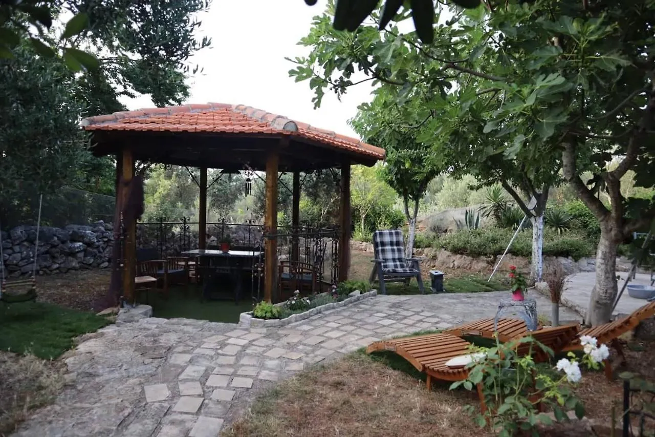 Apartments Branimir Zadar Croatia