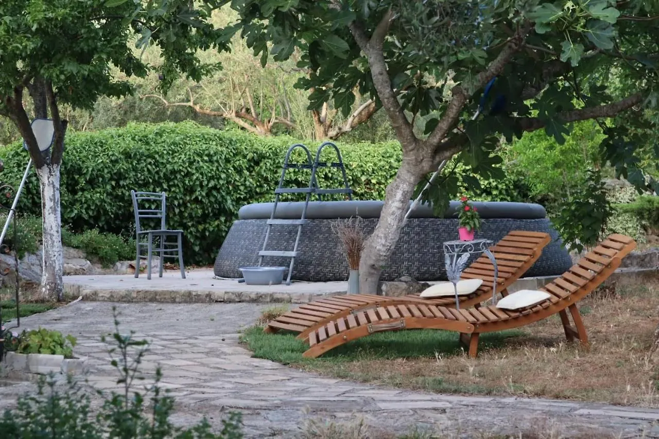 Apartments Branimir Zadar Croatia