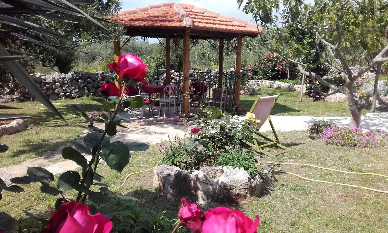 Apartments Branimir Zadar Croatia